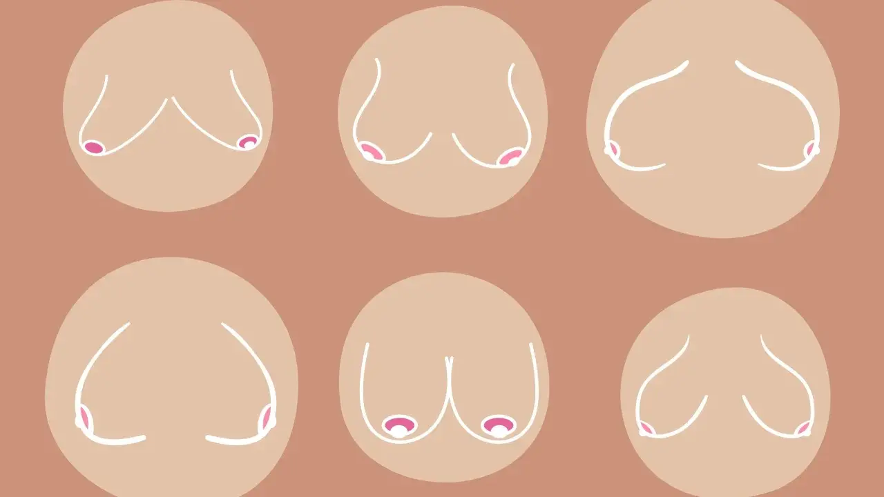 Illustrazione di sei seni cadenti, con diverse forme e posizioni, rappresentati con linee bianche su sfondo color carne.