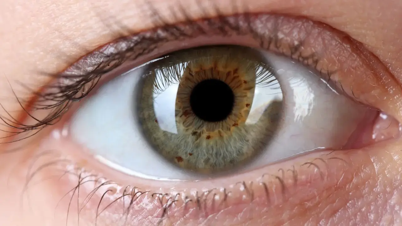 Occhio con iride verde-marrone, ciglia scure e pelle chiara. Un'immagine che evoca la ricerca di un filler per palpebre cadenti per uno sguardo più giovane.