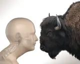 Profilo umano con scheletro cervicale e bisonte. Come eliminare la gobba del bisonte?