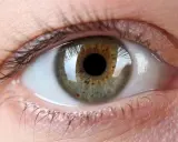 Occhio con iride verde-marrone, ciglia scure e pelle chiara. Un'immagine che evoca la ricerca di un filler per palpebre cadenti per uno sguardo più giovane.