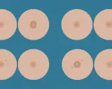 Illustrazione di seni con diverse forme di capezzoli, inclusi quelli piatti, a dimostrazione che un capezzolo piatto è normale.