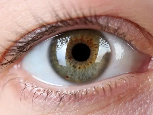 Occhio con iride verde-marrone, ciglia scure e pelle chiara. Un'immagine che evoca la ricerca di un filler per palpebre cadenti per uno sguardo più giovane.